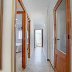 Basic Confort Poeta Marquina Pb 2026 * روساس