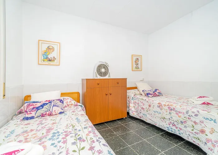 Basic Confort Poeta Marquina Pb 2026 Daire Roses